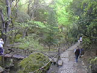Schmetterlingstal